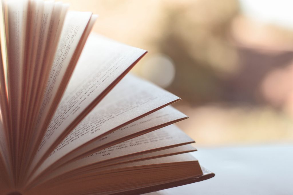 The Jaipur Literary Festival