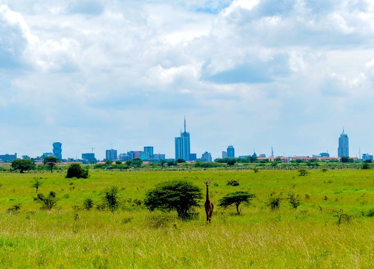 Nairobi city skyline with giraffe in the foreground