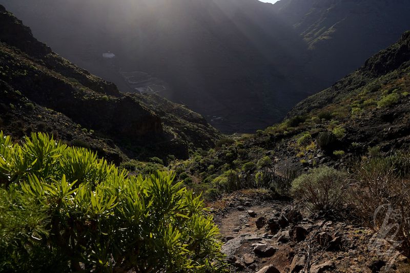 digital nomad hiking in Gran Canaria
